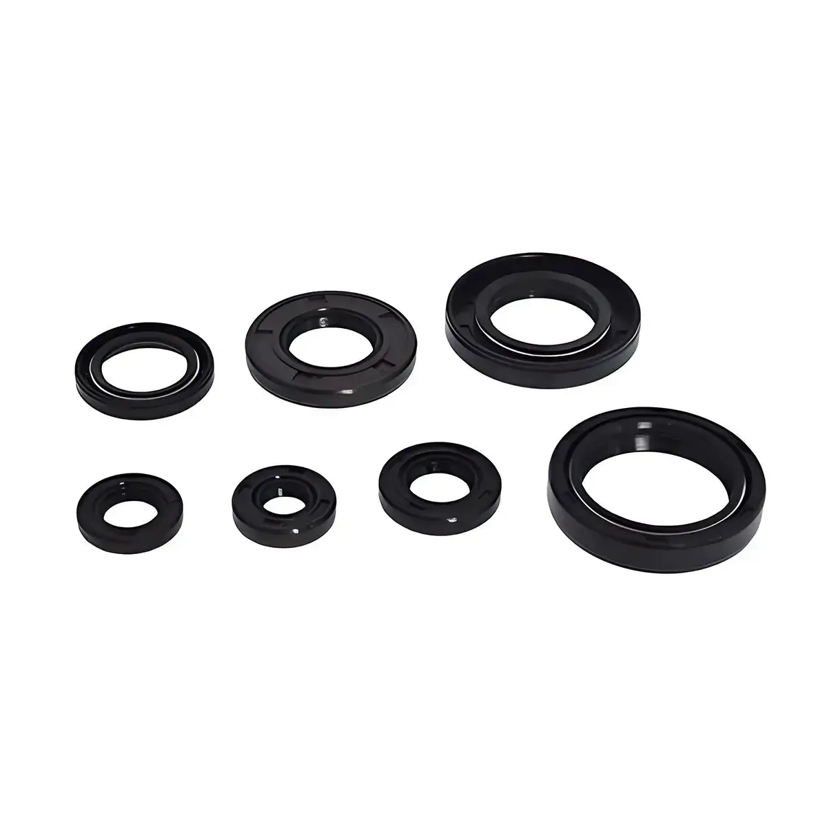 Oil Seal